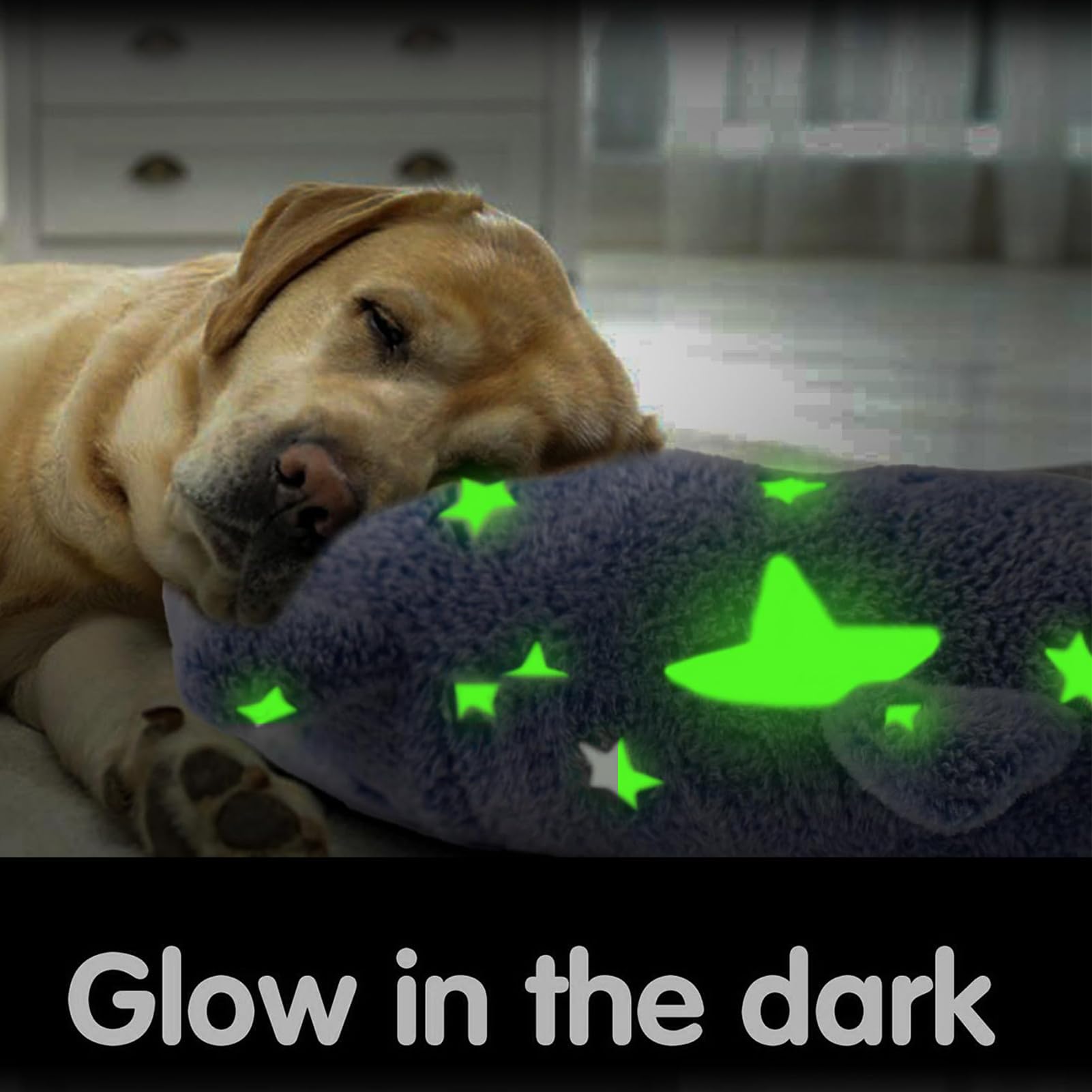 Amazon | U字型ペットピロー - 首サポートクッション、快適犬猫